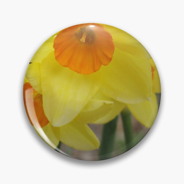 Item preview, Daffodils  designed and sold by Dacia Tomnitz.