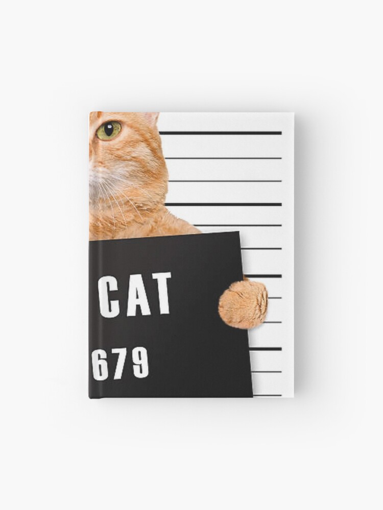 cat679-2