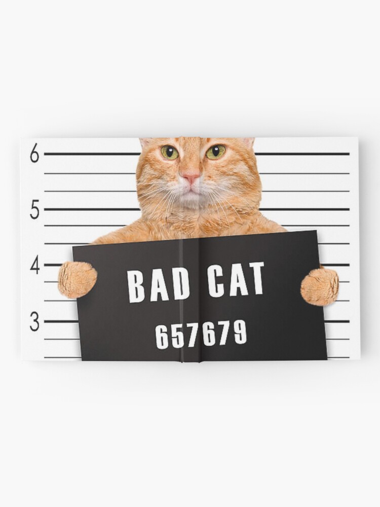 Bad cat Print A4 size picture Naughty scruffy miserable -  Portugal