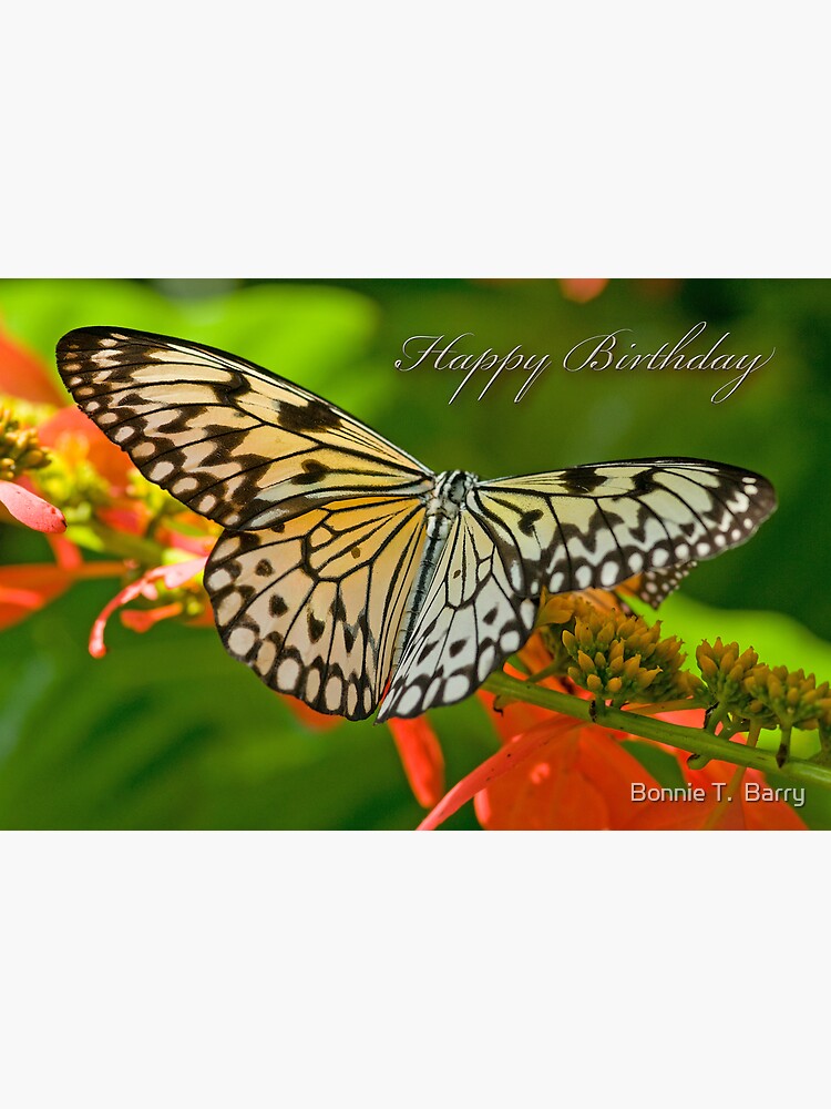 Carte De Vœux Papillon Joyeux Anniversaire Par Miracles Redbubble