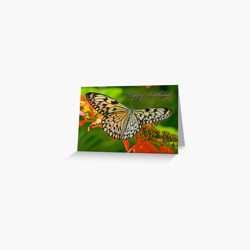 Greeting Card W/ TRACKING Birthday Tigers Butterflies Flowers Palm Leaves