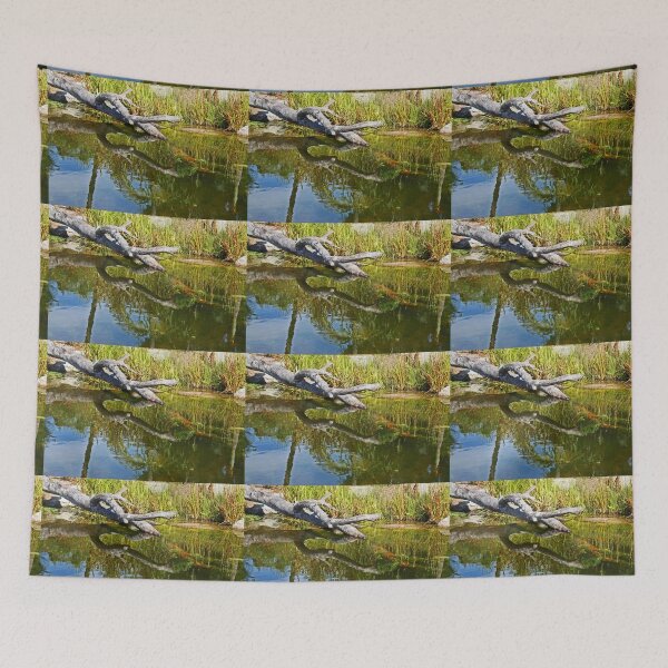 Item preview,   Reflections designed and sold by Evita.
