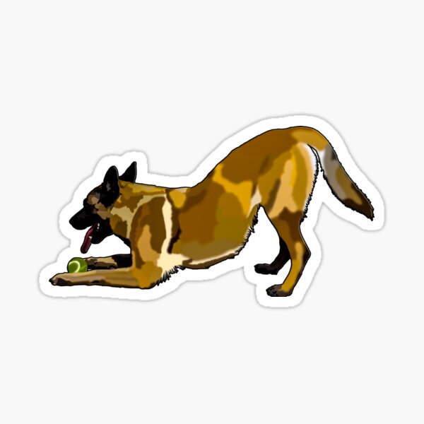 Belgian Malinois Sticker