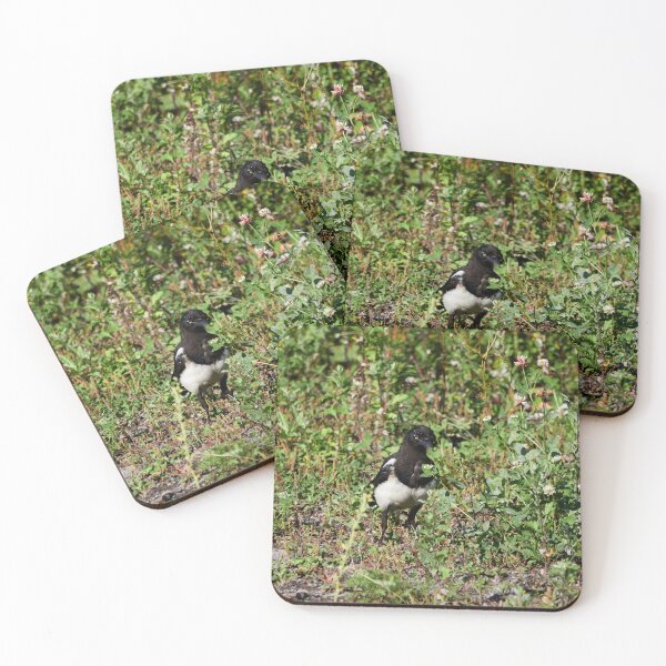 Item preview, Backyard  prince. Eurasian magpie designed and sold by Jouko Lehto Photography.