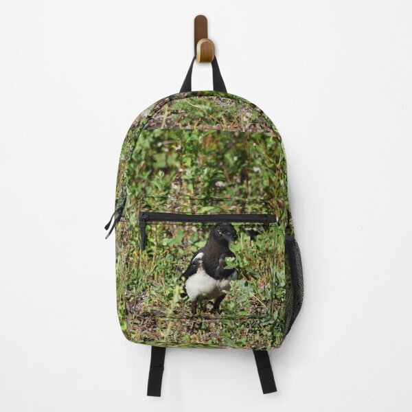Item preview, Backyard  prince. Eurasian magpie designed and sold by Jouko Lehto Photography.