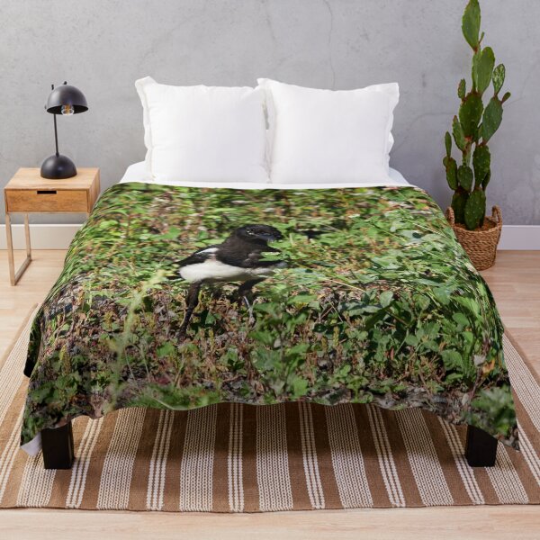 Item preview, Backyard prince. Eurasian magpie designed and sold by Jouko Lehto Photography.