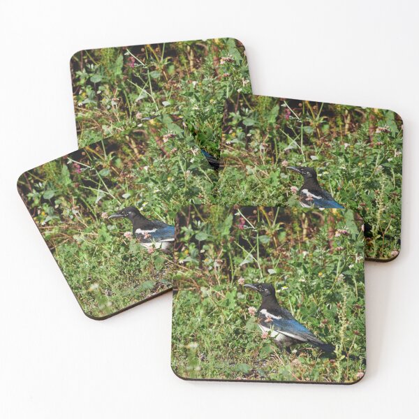 Item preview, Backyard jungle. Eurasian magpie designed and sold by Jouko Lehto Photography.