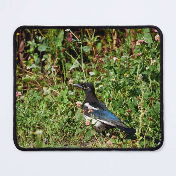 Item preview, Backyard jungle. Eurasian magpie designed and sold by Jouko Lehto Photography.