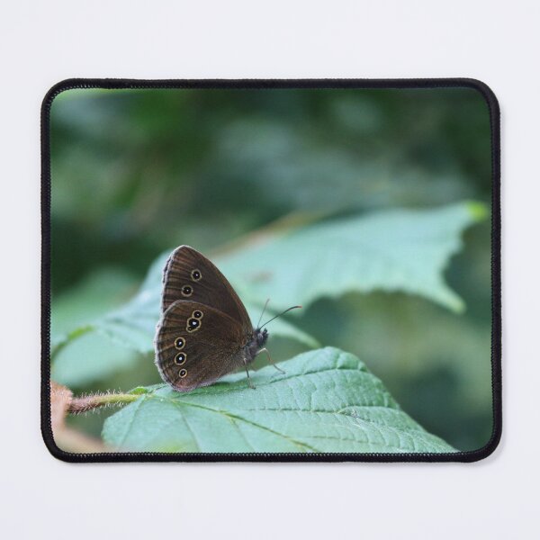 Item preview, Ringlet Butterfly designed and sold by pinkal.