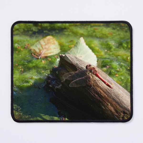 Item preview, Green waters red darters. Vagrant darter designed and sold by Jouko Lehto Photography.