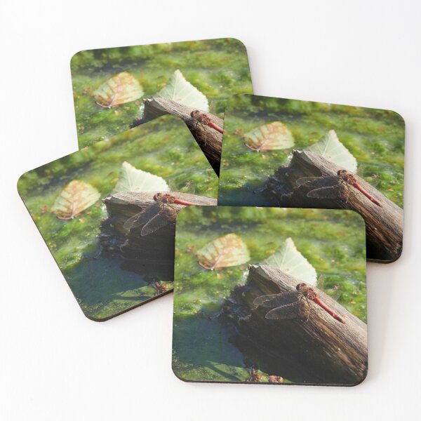 Item preview, Green waters red darters. Vagrant darter designed and sold by Jouko Lehto Photography.