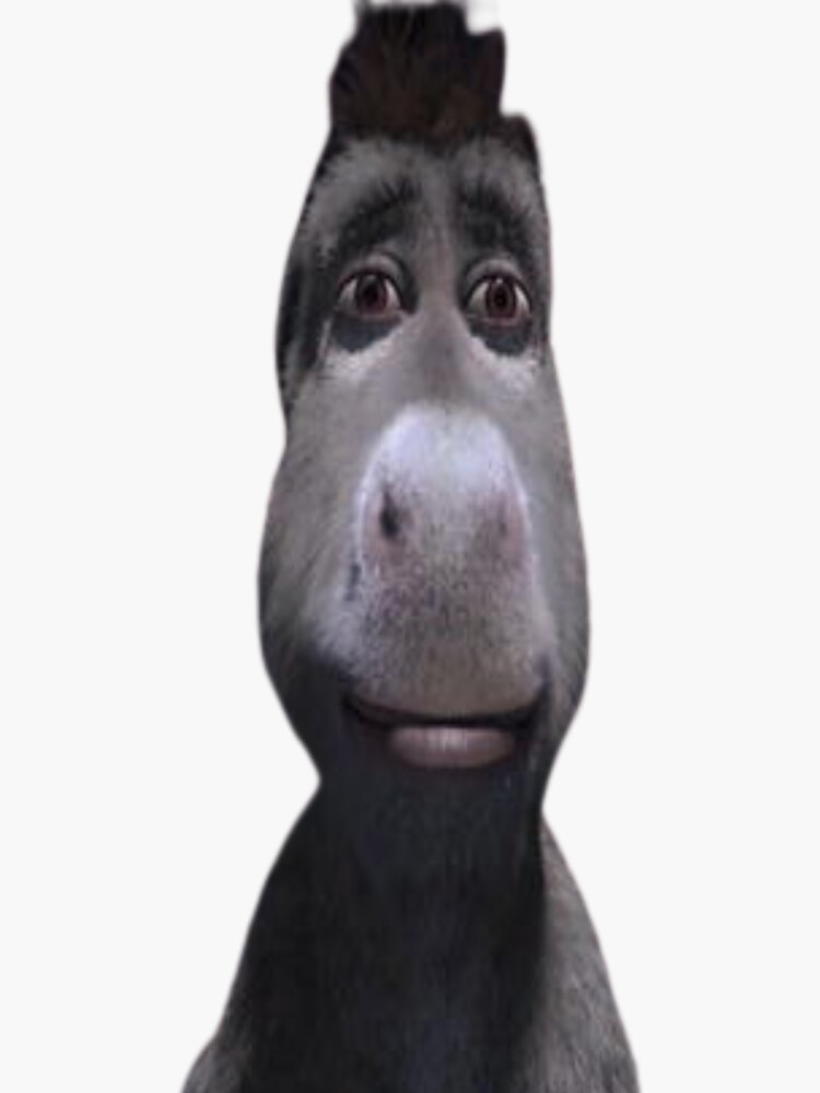 Can I F---, Staring Donkey