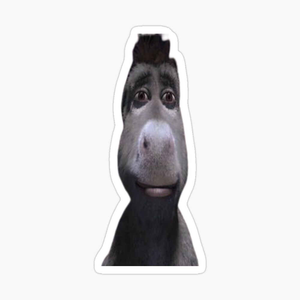 Staring Donkey from shrek