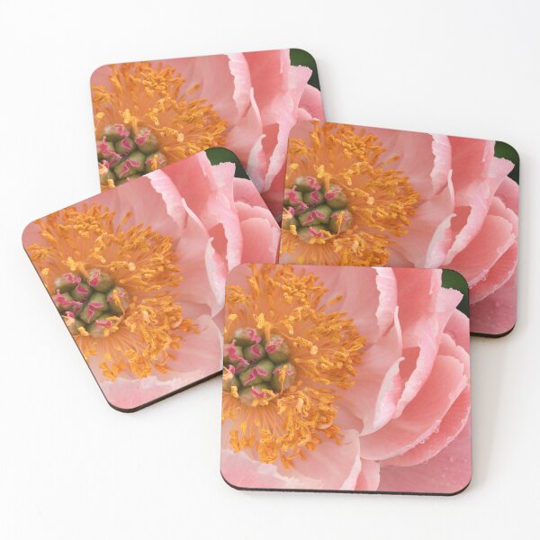 Item preview, Dewy Starburst designed and sold by okomedesign.