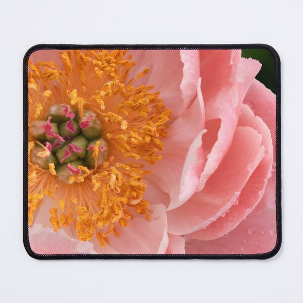 Item preview, Dewy Starburst designed and sold by okomedesign.