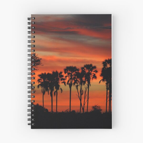 Item preview, Sunset and Real Fan Palms designed and sold by quentinjlang.