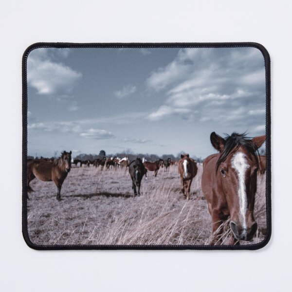 Item preview, Wild Mustangs in Oklahoma designed and sold by SheyOfWander.