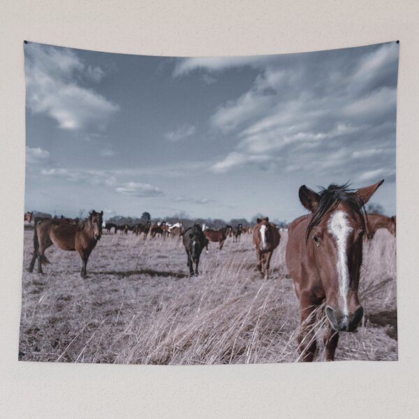Item preview, Wild Mustangs in Oklahoma designed and sold by SheyOfWander.