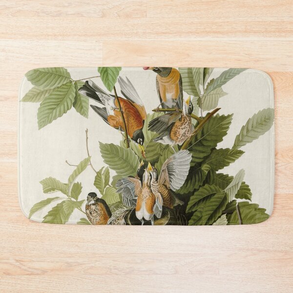 Item preview, American Robin - John James Audubon Birds of America designed and sold by Natural History Prints.