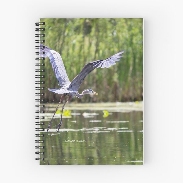 Item preview, Great Blue Heron, 1 designed and sold by Tamara  Kaylor.