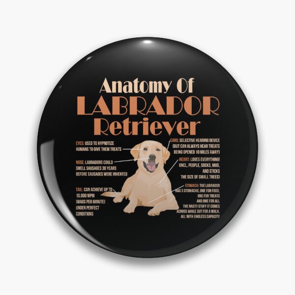 Item preview, Anatomy of Labrador Retriever   designed and sold by MayCrew1.