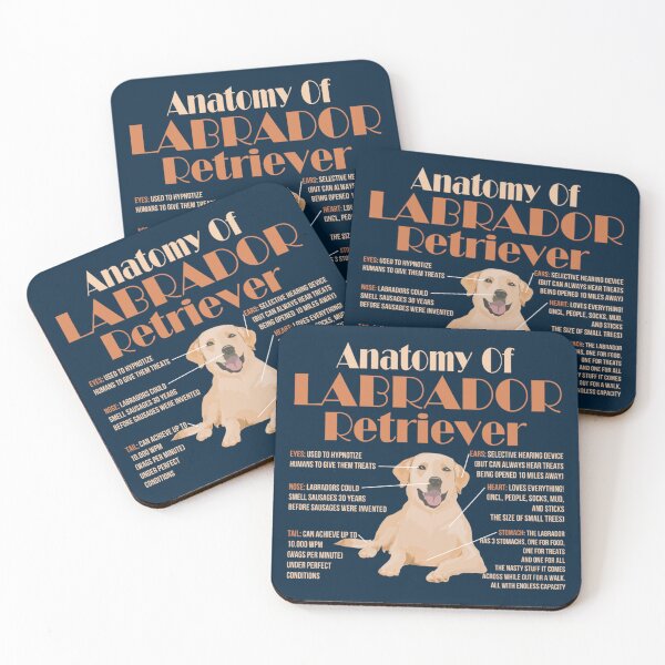 Item preview, Anatomy of Labrador Retriever   designed and sold by MayCrew1.