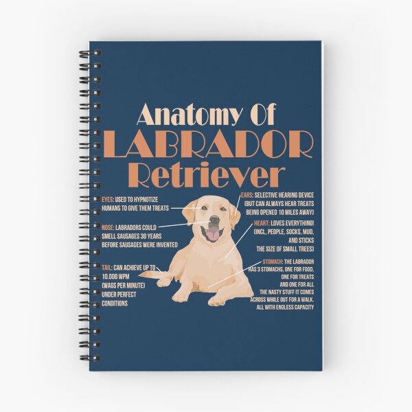 Item preview, Anatomy of Labrador Retriever   designed and sold by MayCrew1.