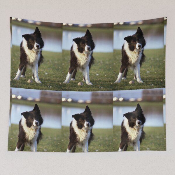 Item preview, Indy tilt designed and sold by Michael Haslam.