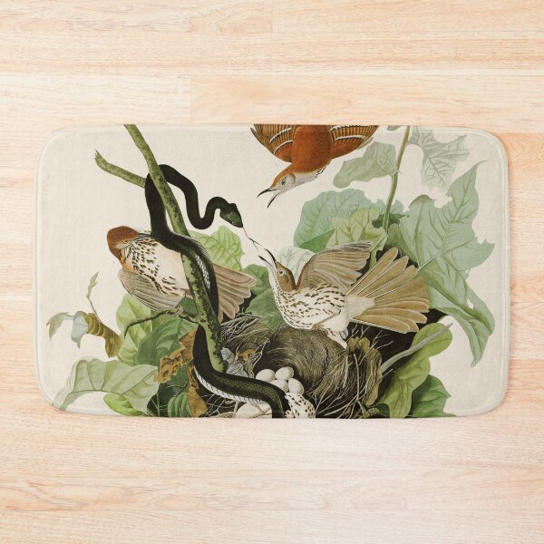 Item preview, Ferruginous Thrush - John James Audubon Birds of America designed and sold by Natural History Prints.