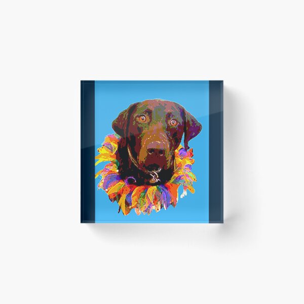 Item preview, English Chocolate Lab Blue        designed and sold by MayCrew1.