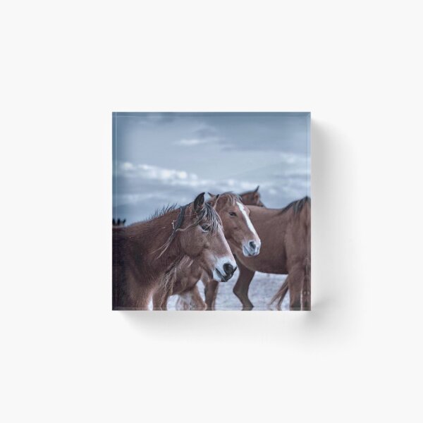 Item preview, Wild Mustangs in Oklahoma designed and sold by SheyOfWander.