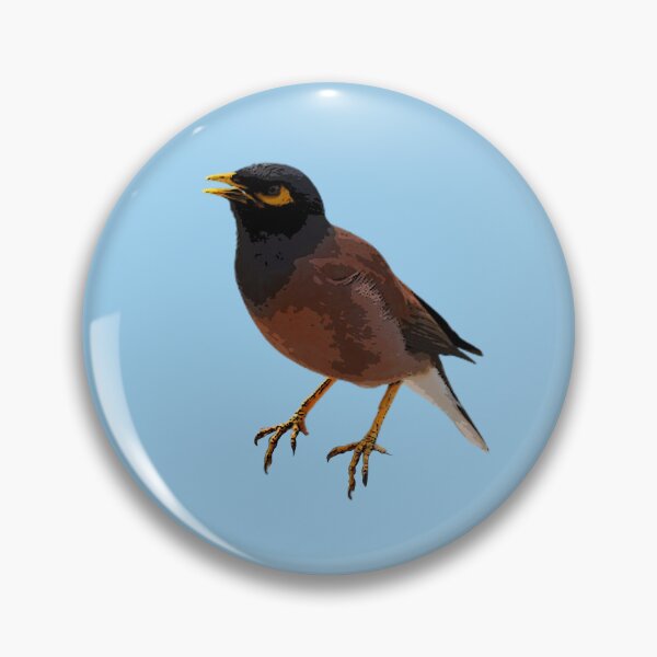 Item preview, A Common Myna Color Design Painting Print designed and sold by designsasstultd.