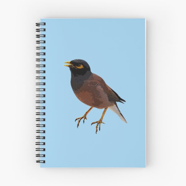 Item preview, A Common Myna Color Design Painting Print designed and sold by designsasstultd.