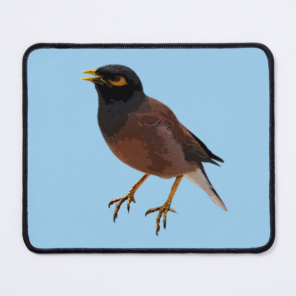 Item preview, A Common Myna Color Design Painting Print designed and sold by designsasstultd.