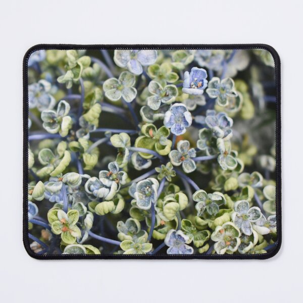 Item preview, fading blooms designed and sold by okomedesign.