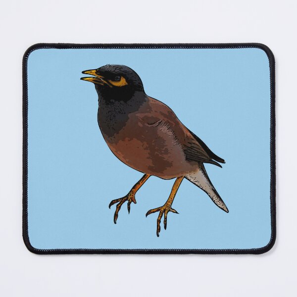 Item preview, A Common Myna Black Alternate Design Painting Print designed and sold by designsasstultd.