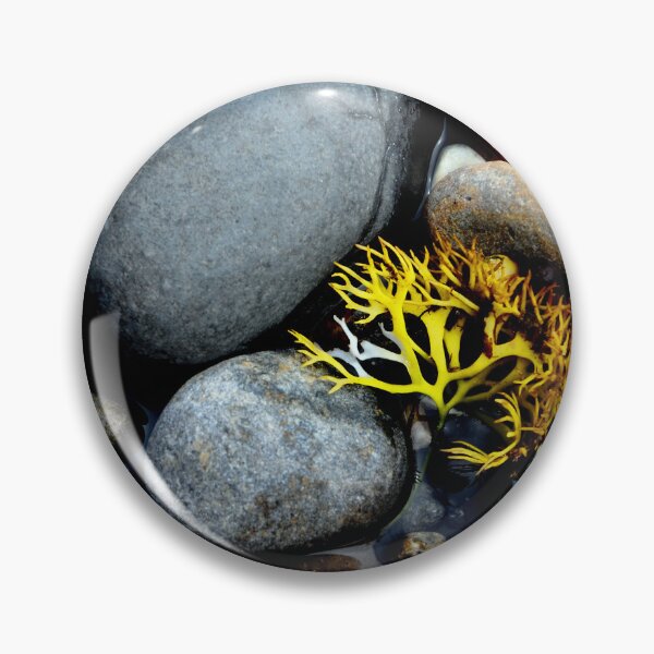 Item preview, Pebbles at Kimmeridge Bay designed and sold by Gallery one.