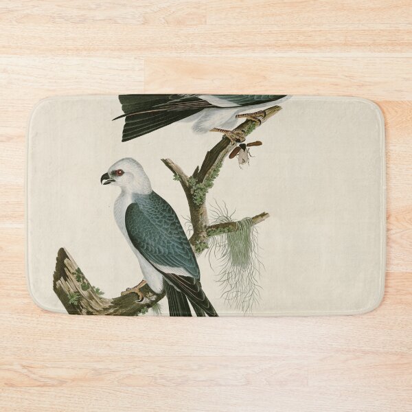 Item preview, Mississippi Kite -  John James Audubon Birds of America designed and sold by Natural History Prints.