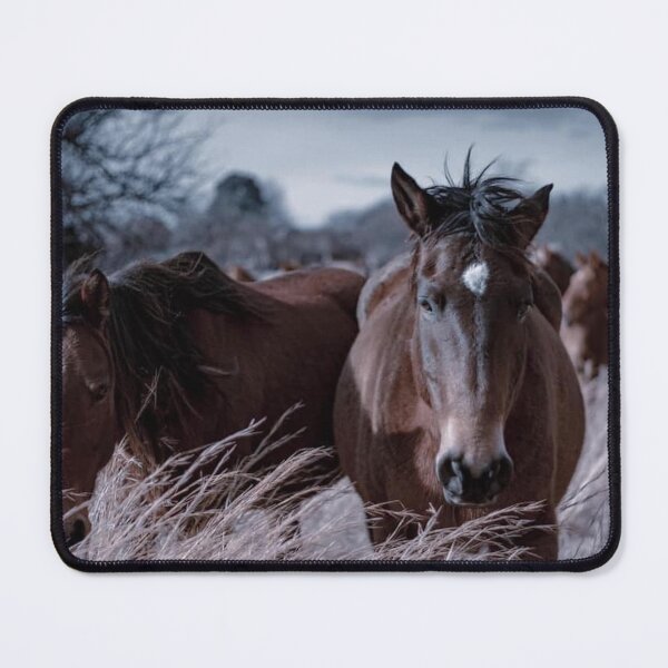 Item preview, Wild Mustangs in Oklahoma designed and sold by SheyOfWander.
