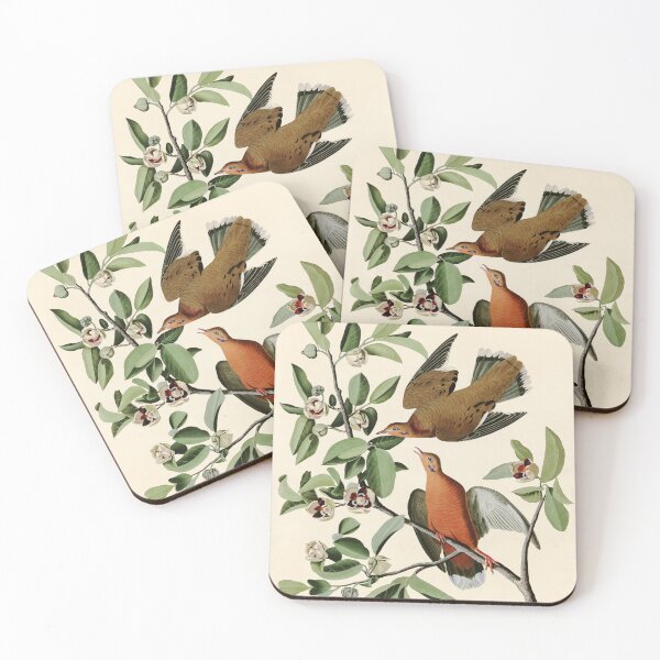 Item preview, Zenaida Dove - John James Audubon Birds of America designed and sold by Natural History Prints.