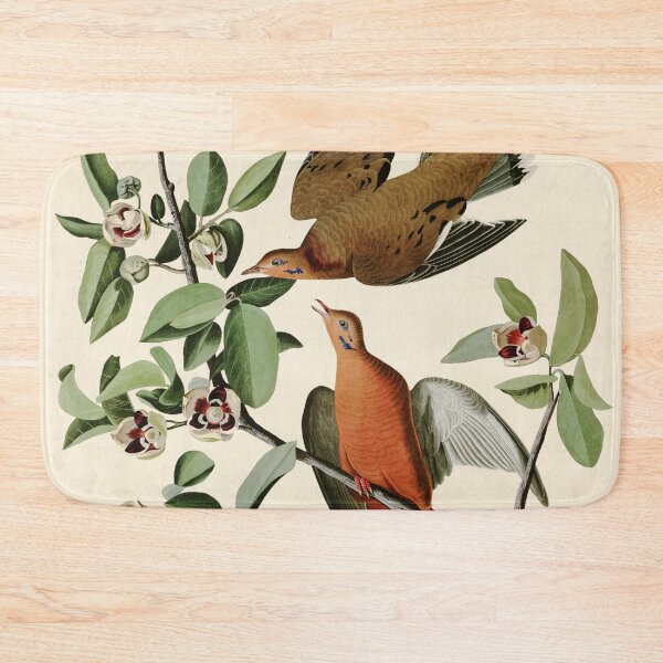 Item preview, Zenaida Dove - John James Audubon Birds of America designed and sold by Natural History Prints.