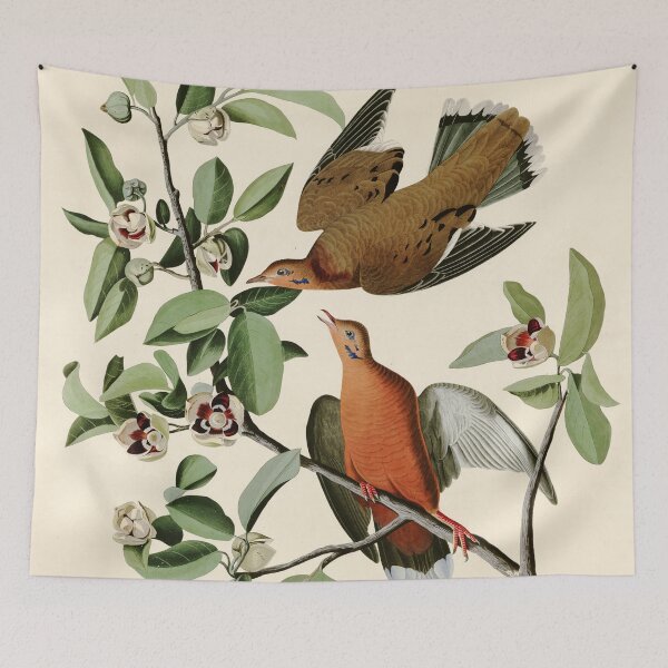 Item preview, Zenaida Dove - John James Audubon Birds of America designed and sold by Natural History Prints.