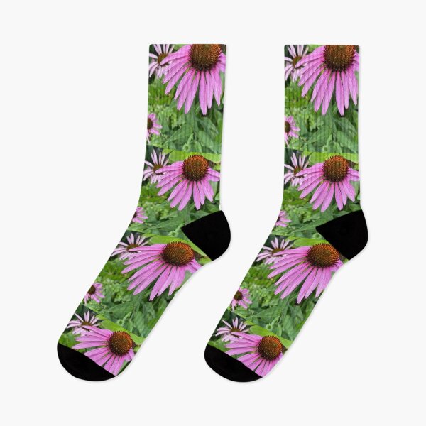 Item preview, Purple Coneflower  designed and sold by Amanda1775.