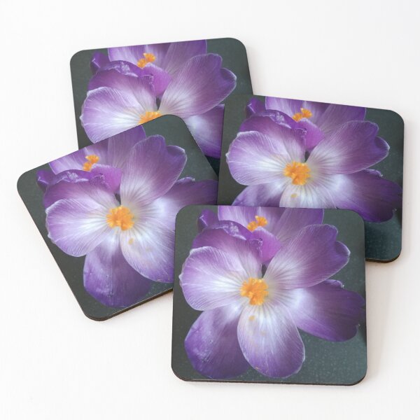 Item preview, Crocus 2 designed and sold by Pontom46.
