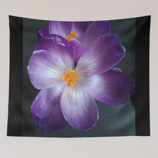Item preview, Crocus 2 designed and sold by Pontom46.