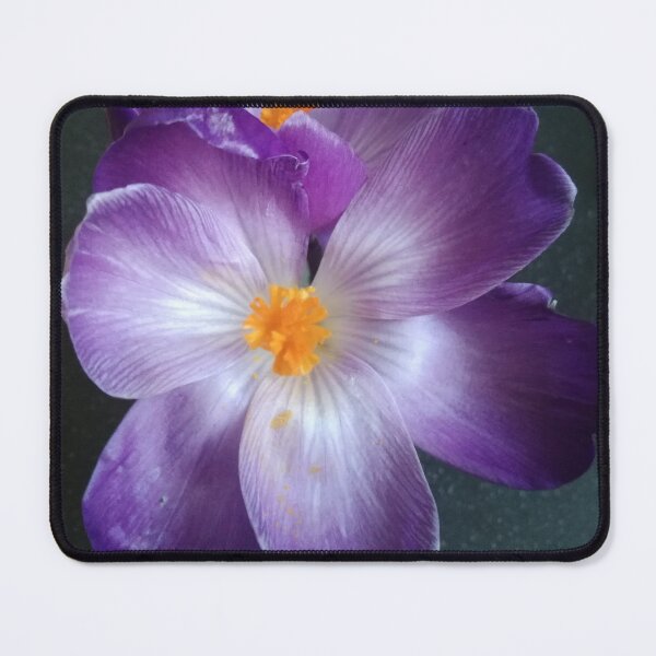 Item preview, Crocus 2 designed and sold by Pontom46.