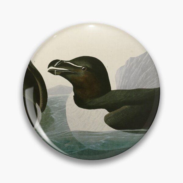Item preview, Razorbill - John James Audubon Birds of America designed and sold by Natural History Prints.