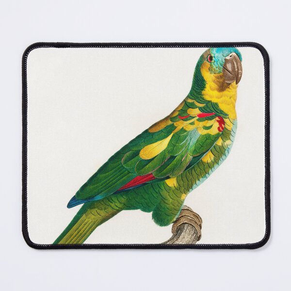 Item preview, Lively Colors 生き生きとした色 designed and sold by Spectuacular Life.