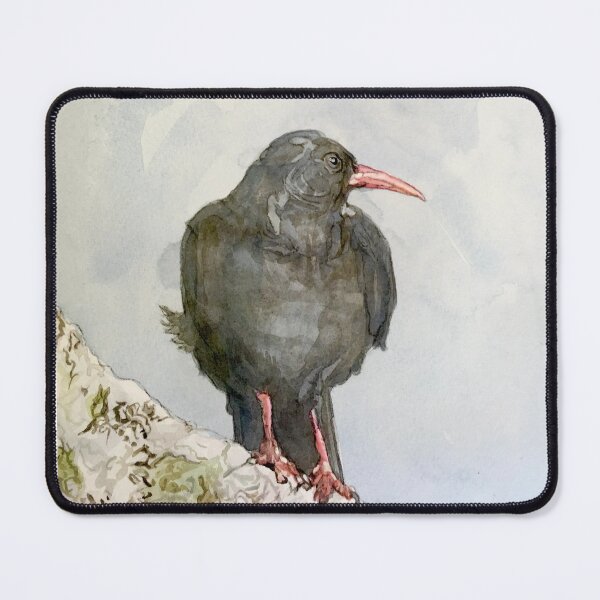 Item preview, Choughs, Wild Irish Sea Birds designed and sold by Cefercom.