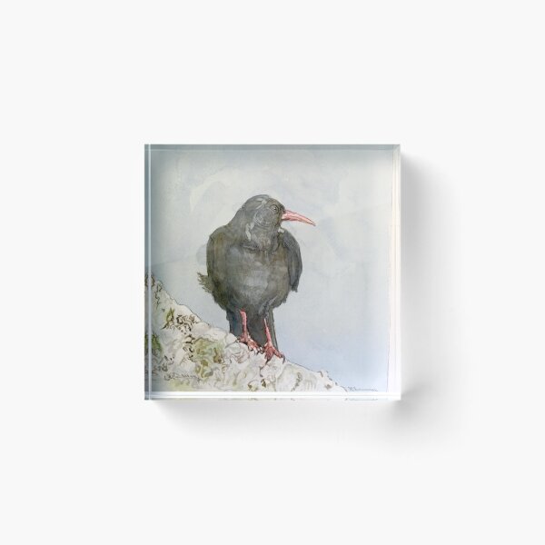 Item preview, Choughs, Wild Irish Sea Birds designed and sold by Cefercom.